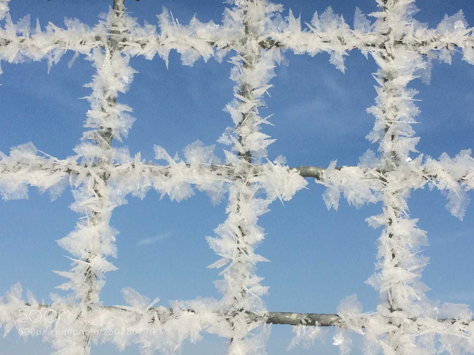 Apple iPhone 5s sample photo. Frosty photography