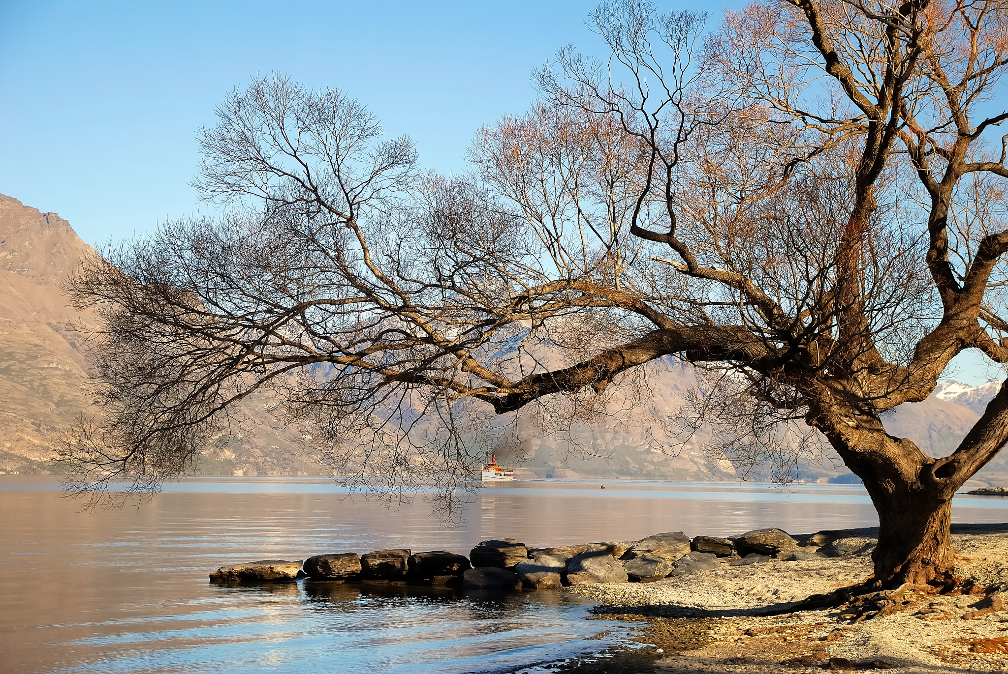 Nikon D80 sample photo. Queestown photography