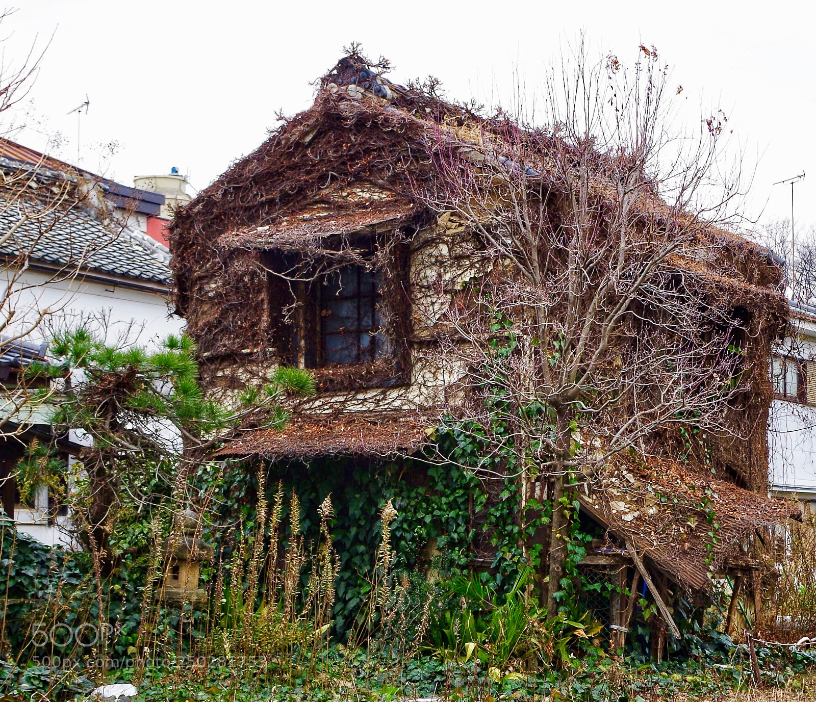 Pentax K-30 sample photo. Abandoned house. photography