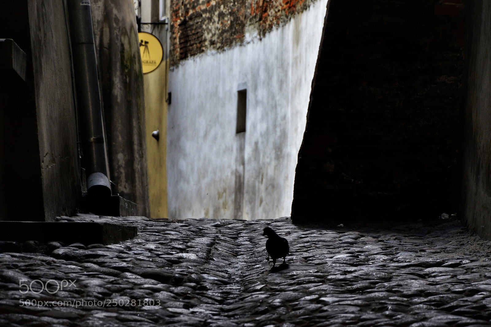 Nikon D5100 sample photo. :) photography
