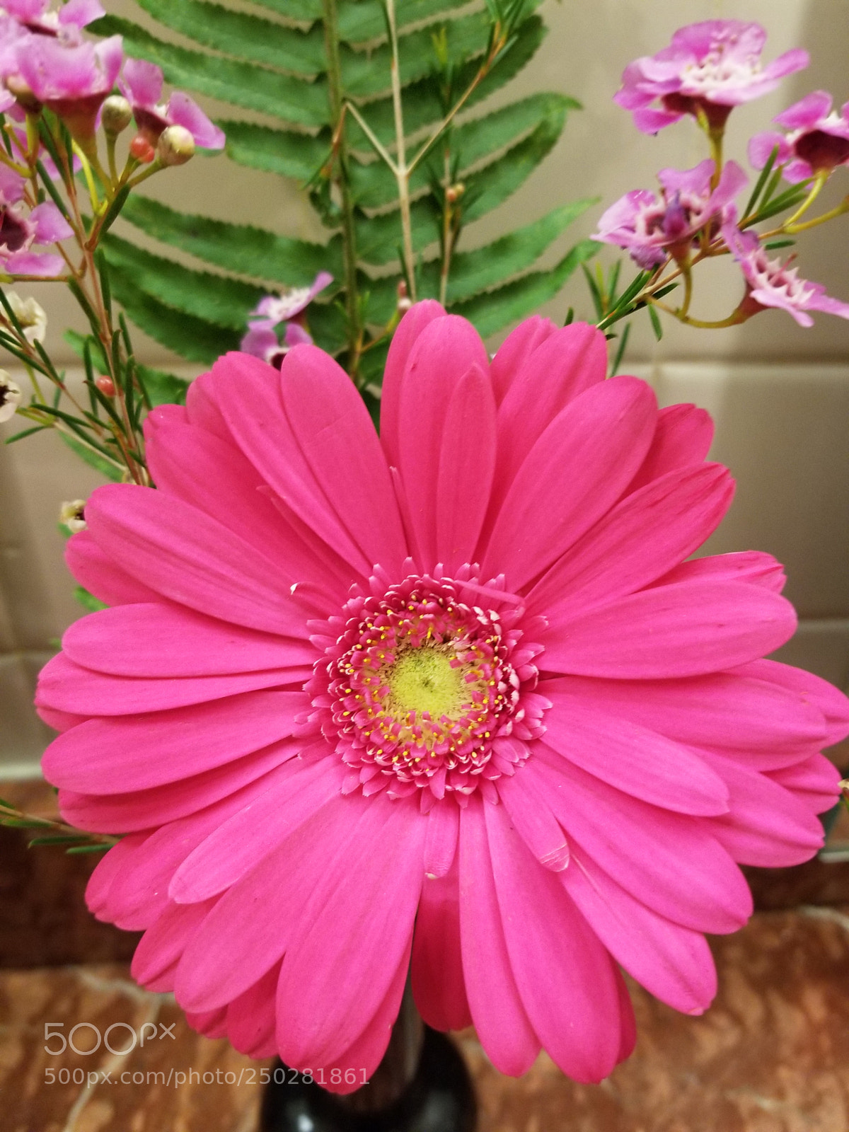 Samsung Galaxy S8 sample photo. Untitled photography