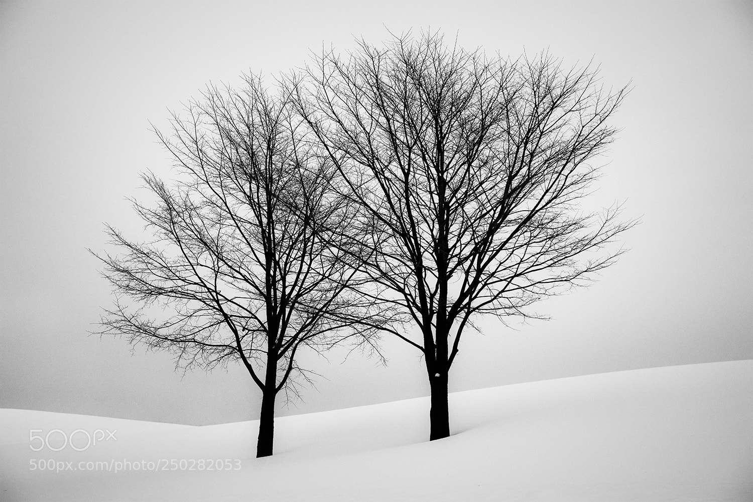 Sony a7R sample photo. Biei, hokkaido photography