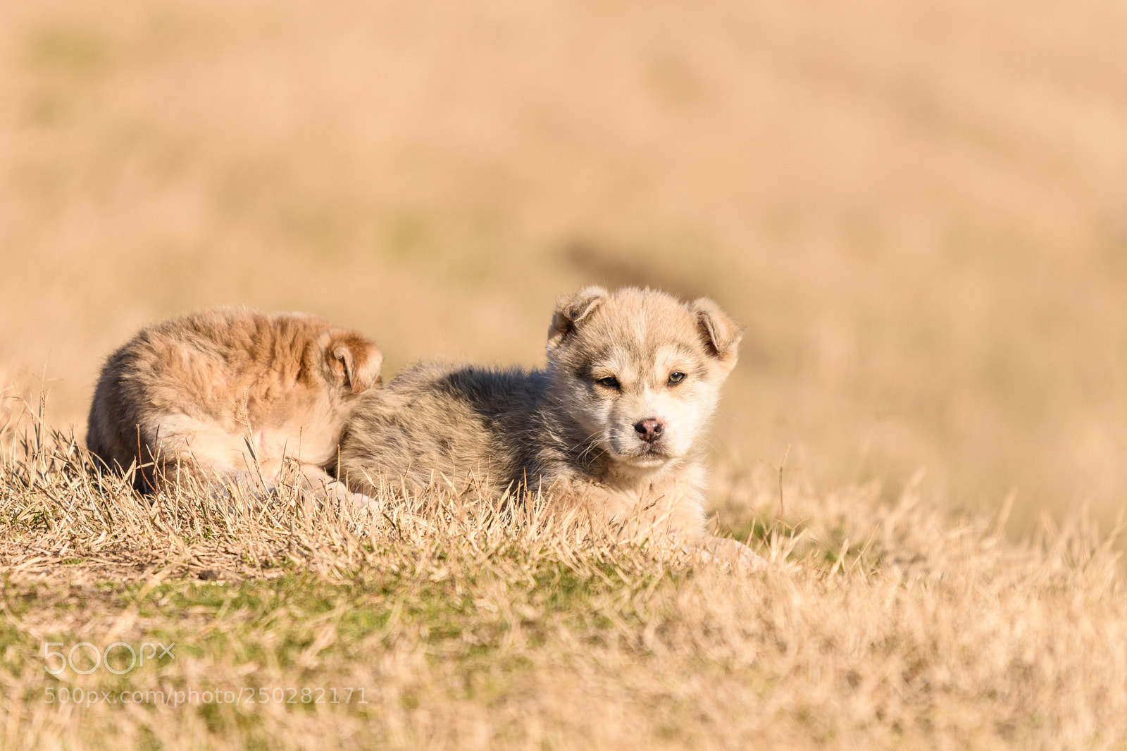 Nikon D7200 sample photo. Sunbathing photography