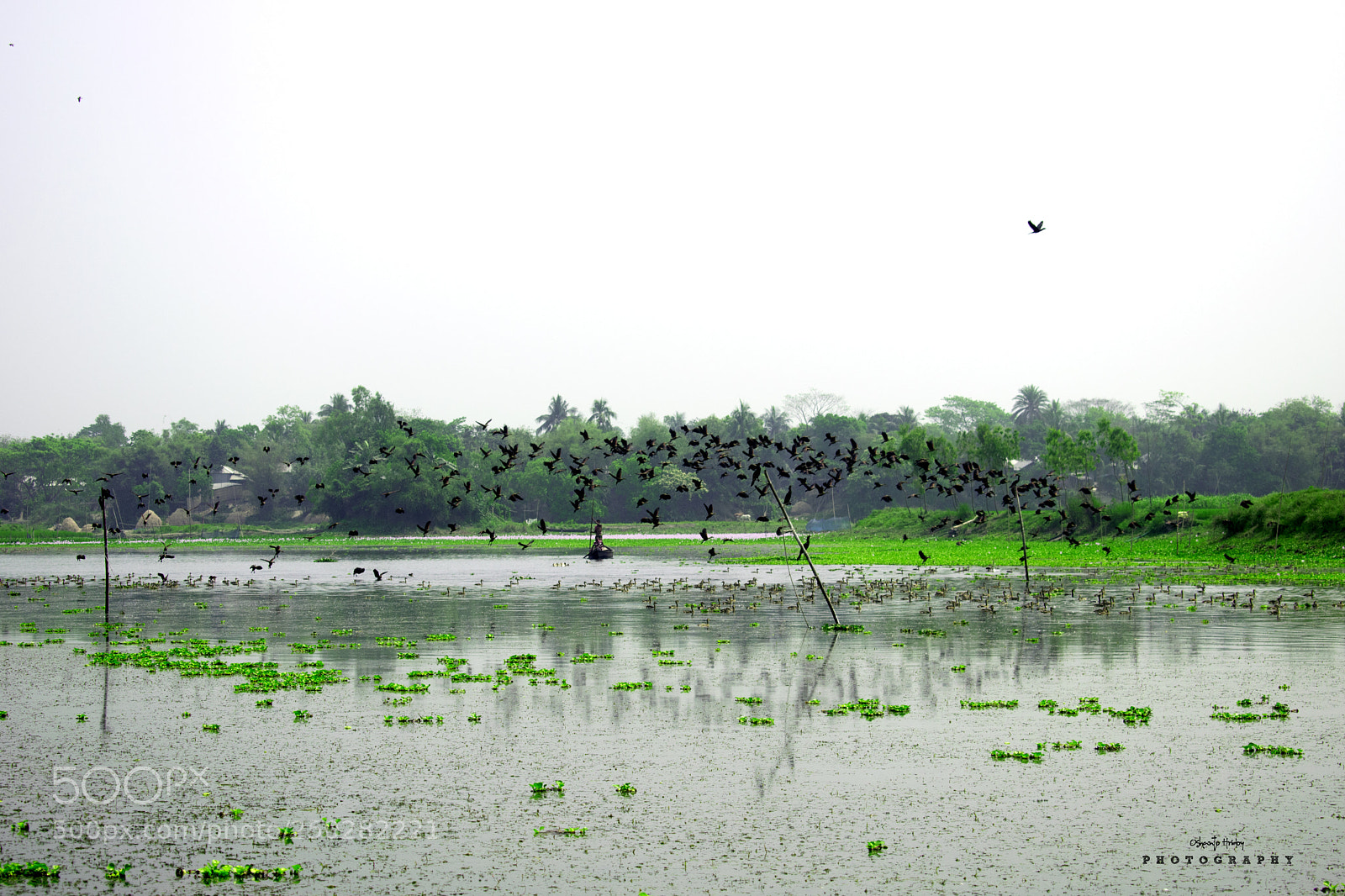 Nikon D5300 sample photo. Fainal photography