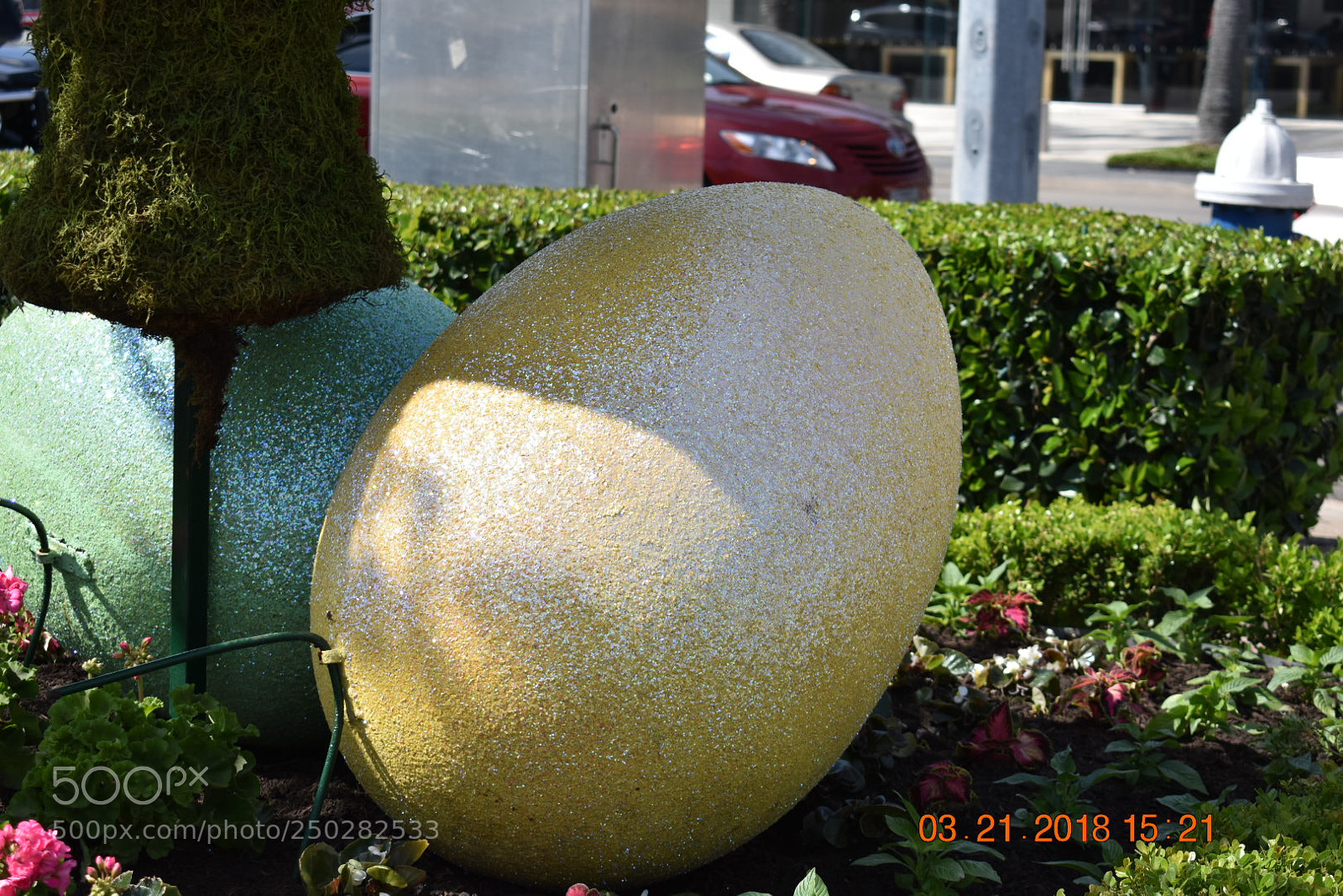 Nikon D3400 sample photo. Untitled photography