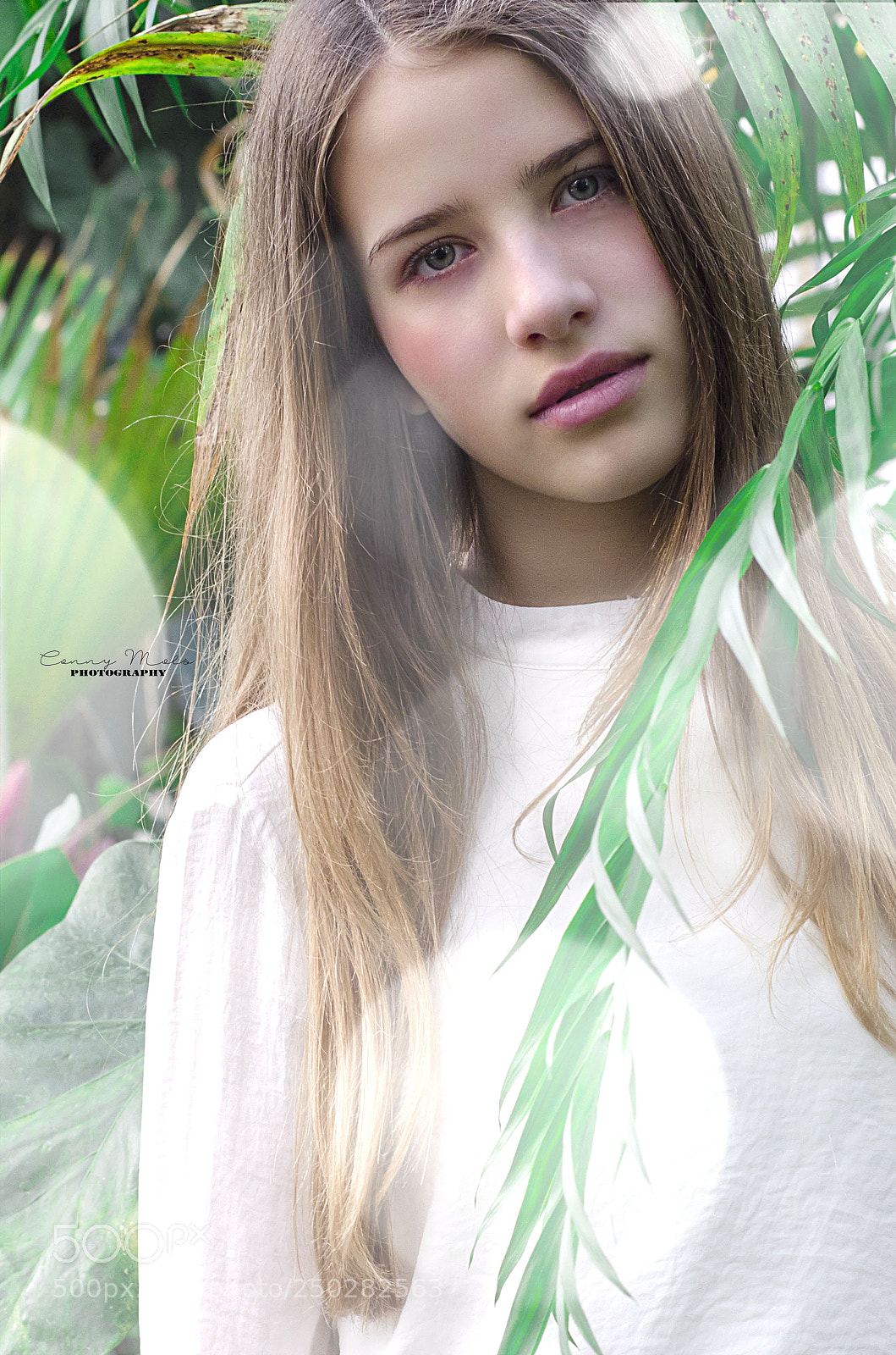 Nikon D5100 sample photo. Greenhouse photoshoot photography