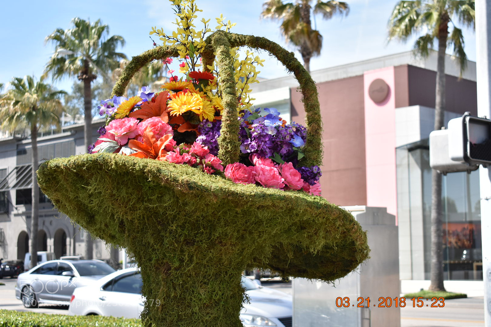 Nikon D3400 sample photo. Untitled photography