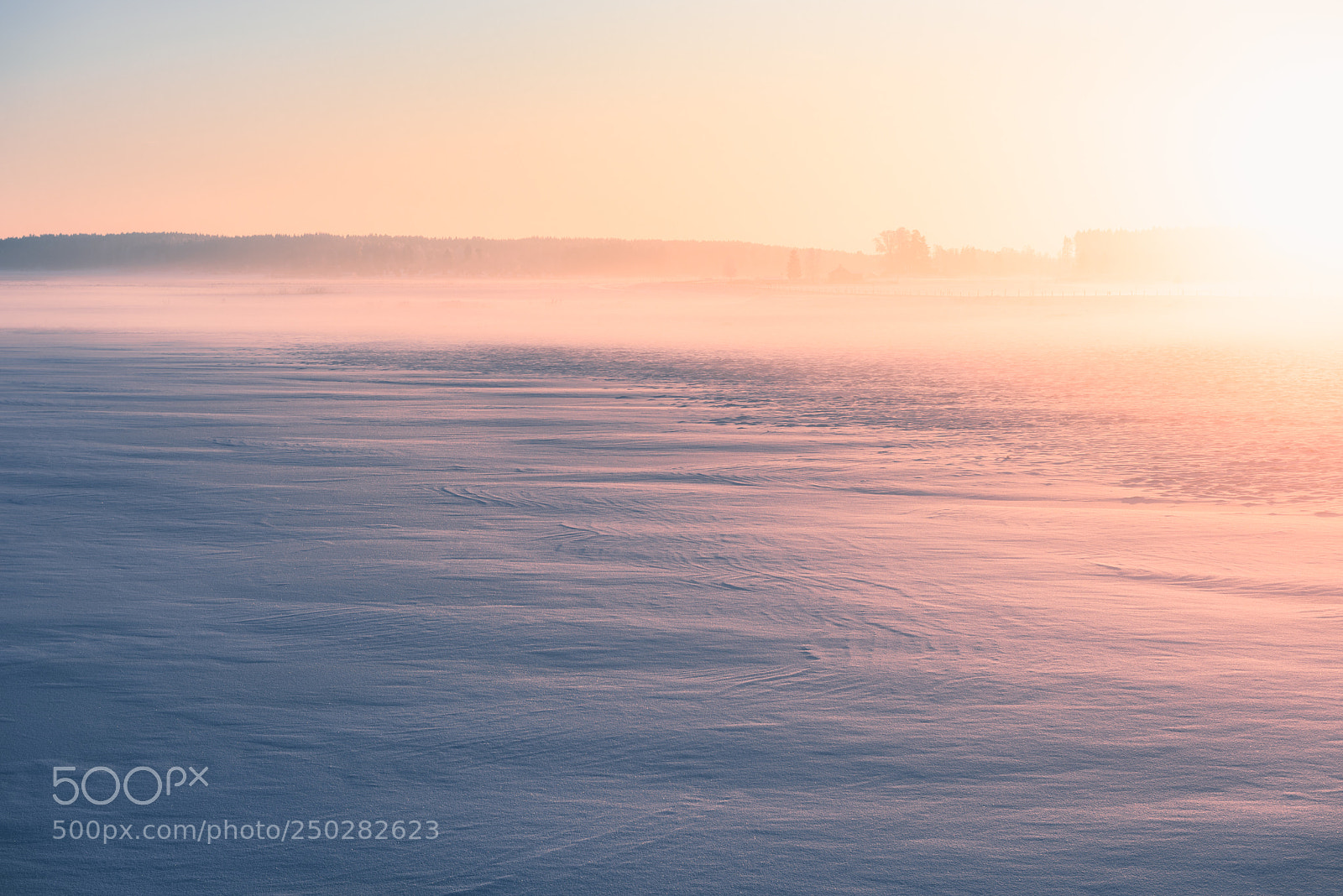 Nikon D810 sample photo. Foggy winter sunset photography