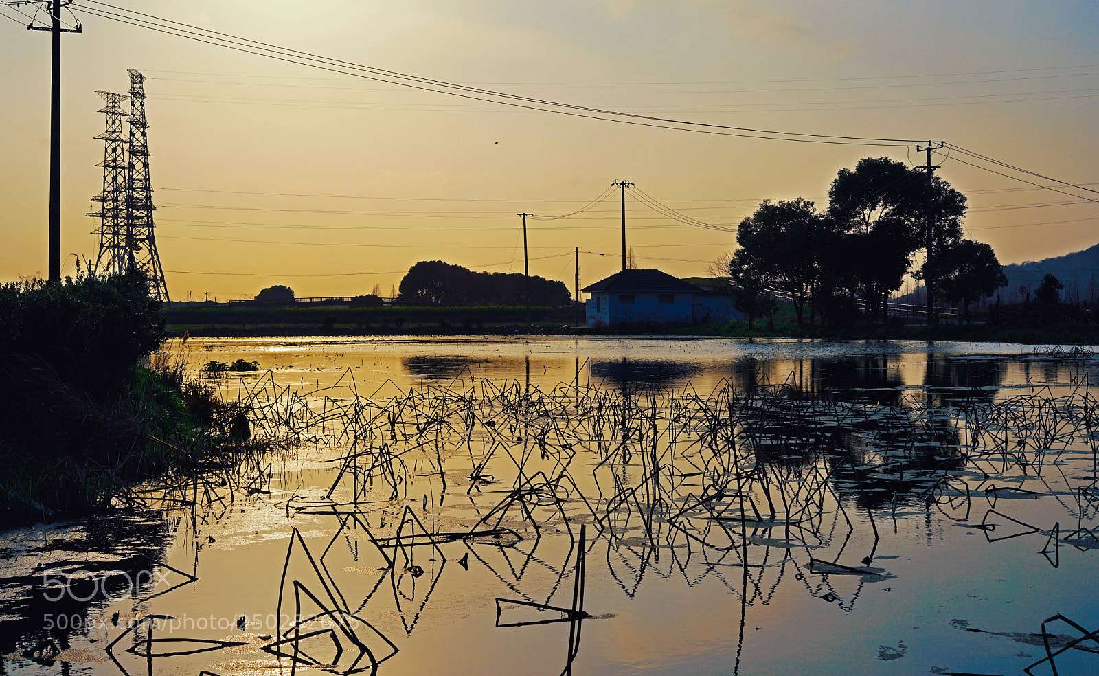 Sony a7R II sample photo. 珍郎与子神2.jpg photography