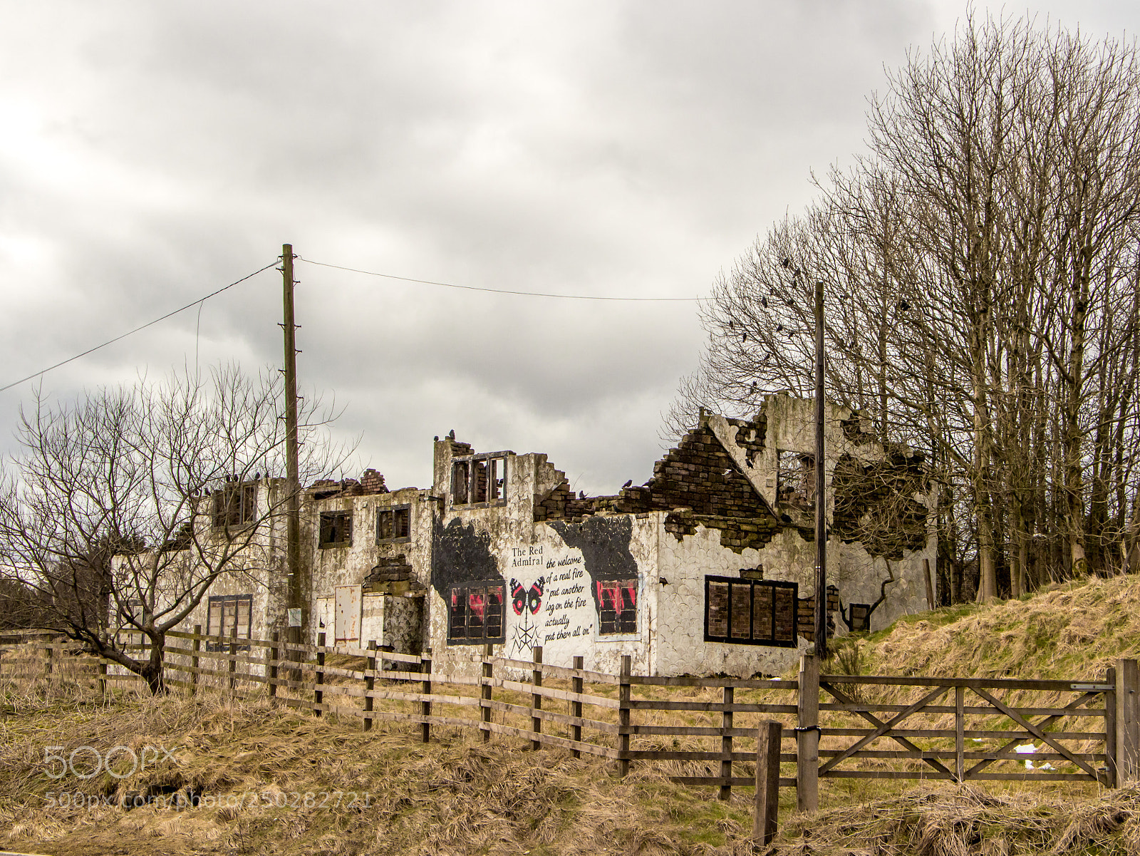 Canon EOS 700D (EOS Rebel T5i / EOS Kiss X7i) sample photo. Put another log on photography