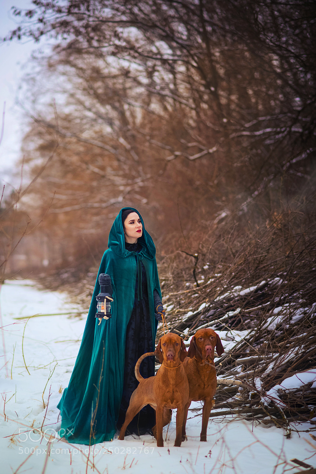 Nikon D610 sample photo. Winter photography