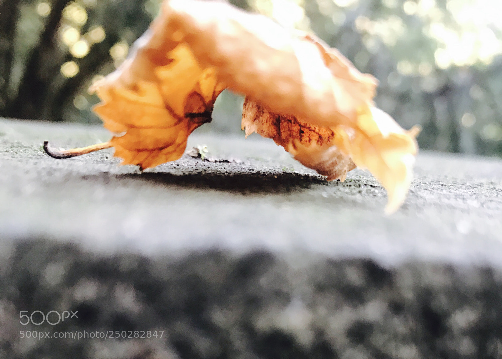 Apple iPhone 7 sample photo. Untitled photography