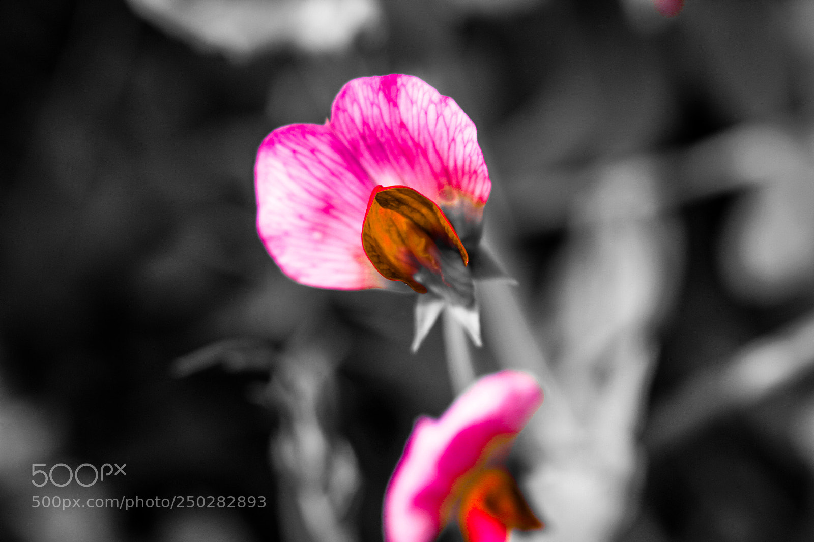 Canon EOS 7D sample photo. Untitled photography