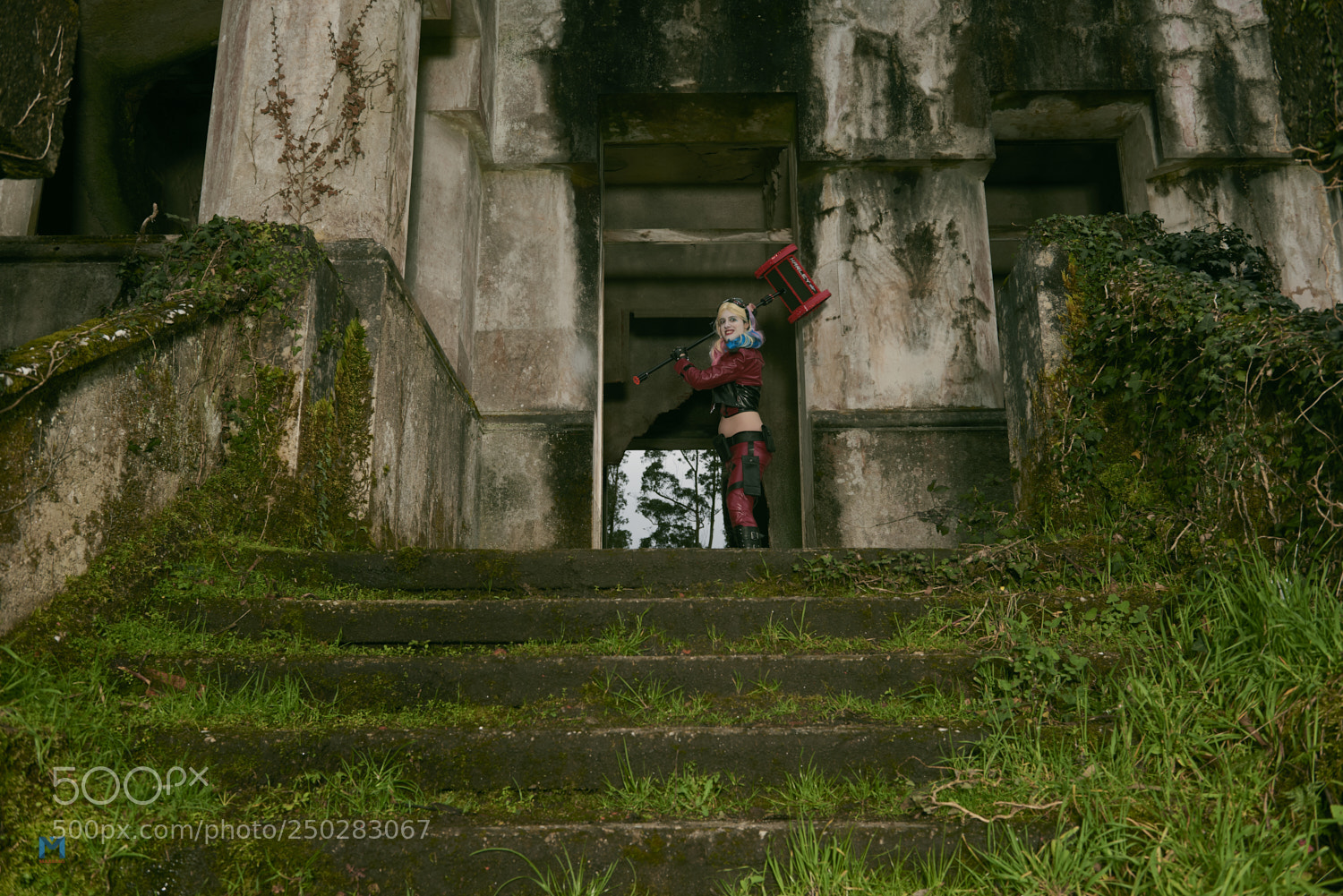 Nikon D800 sample photo. Harley photography