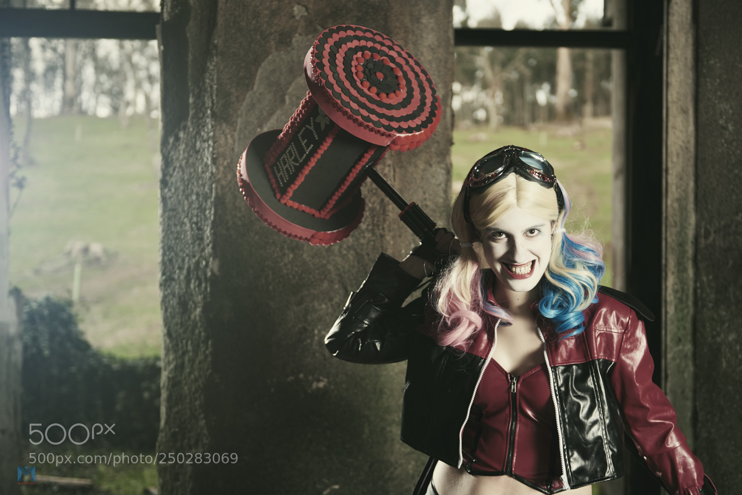 Nikon D800 sample photo. Harley photography