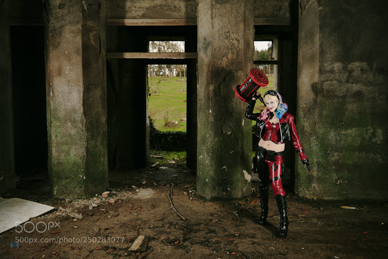 Nikon D800 sample photo. Harley photography