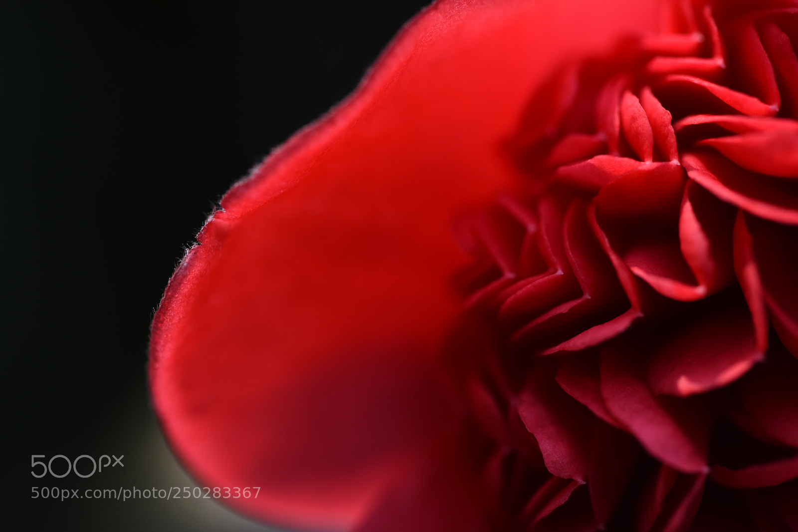 Nikon D810 sample photo. Untitled photography
