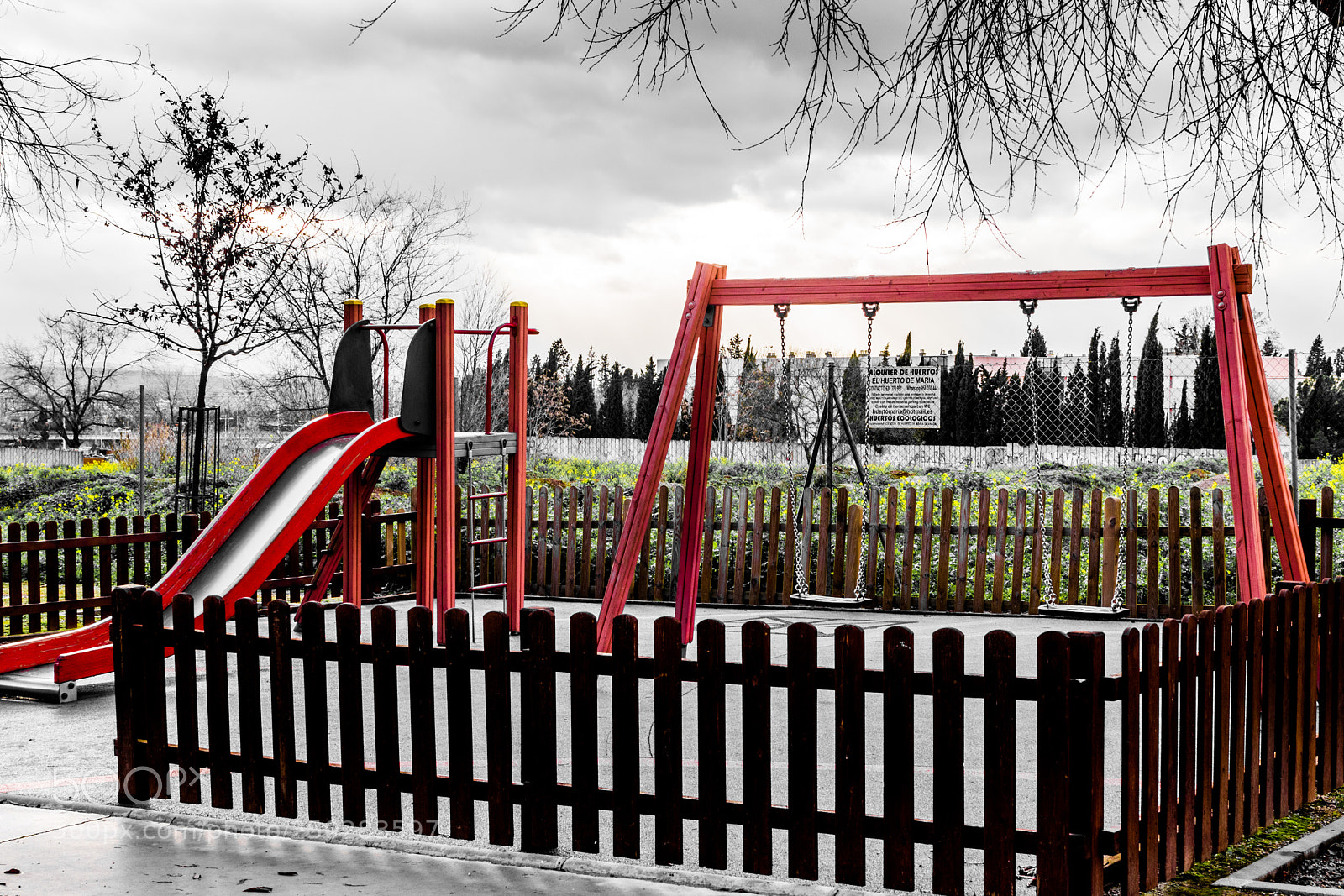 Nikon D5500 sample photo. Red photography