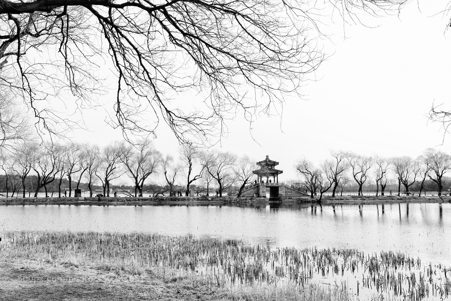 Canon EOS-1D X Mark II sample photo. Untitled photography