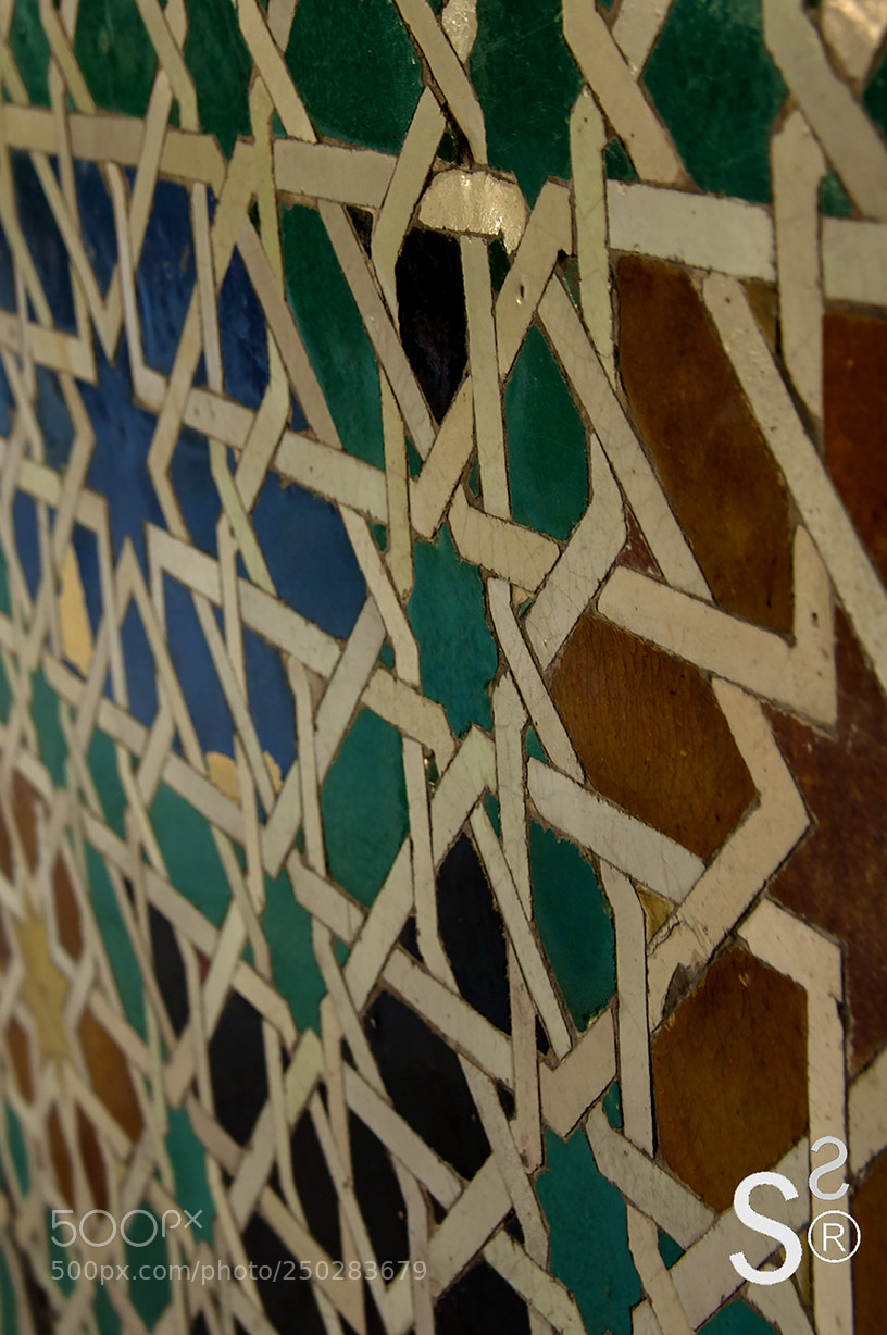 Canon EOS 50D sample photo. Fg 10 photography