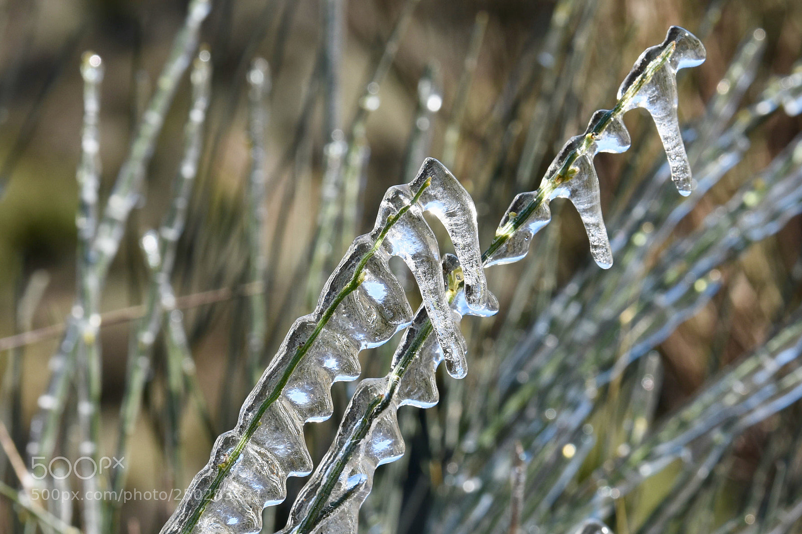 Nikon D7200 sample photo. Untitled photography