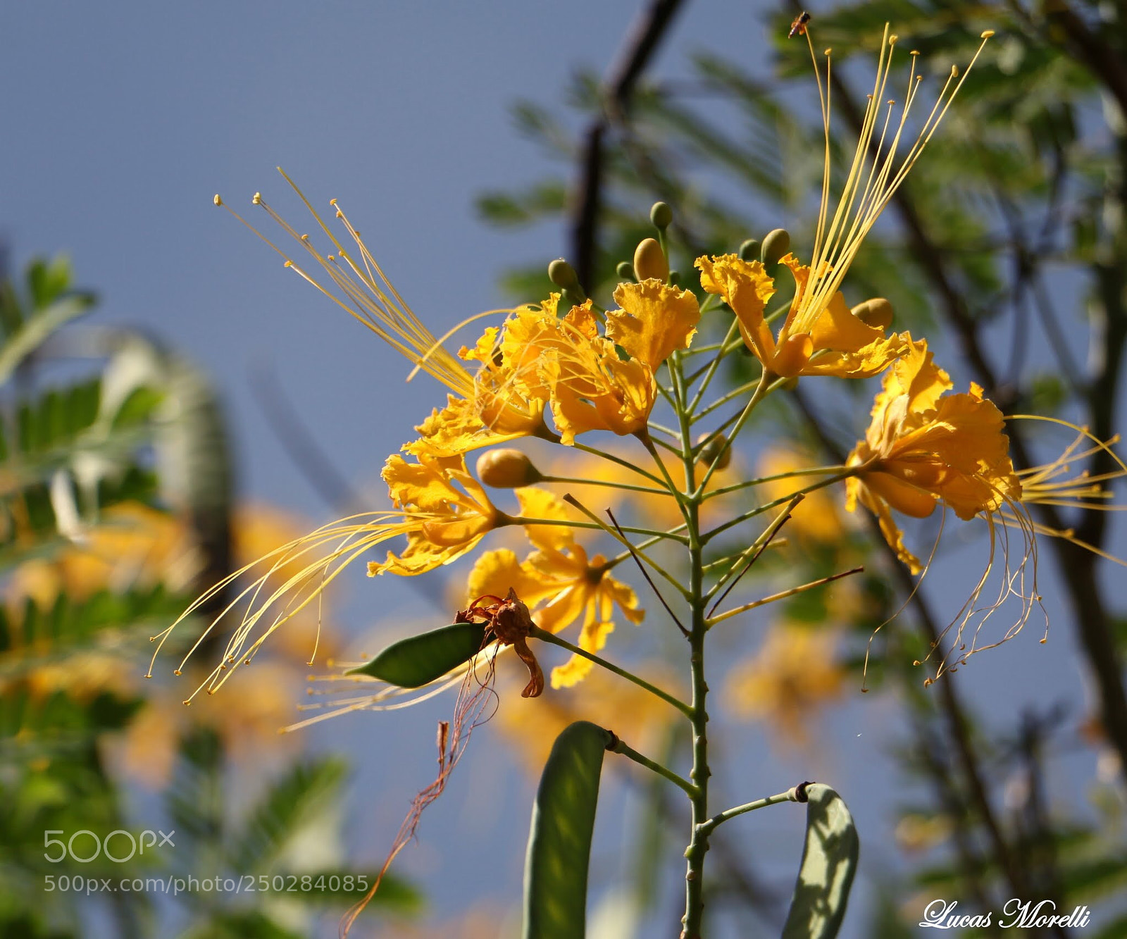 Canon EOS 70D sample photo. Untitled photography