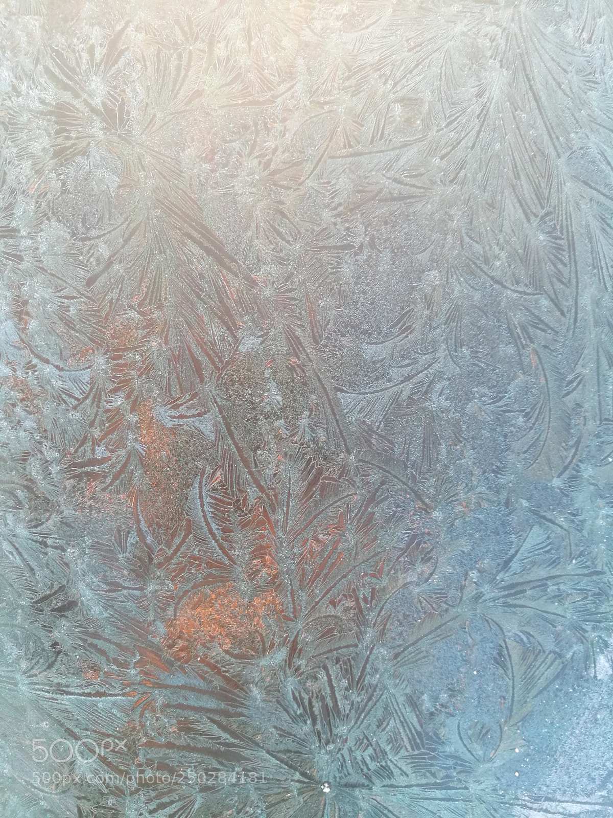 HUAWEI Honor 8 sample photo. Cold art photography