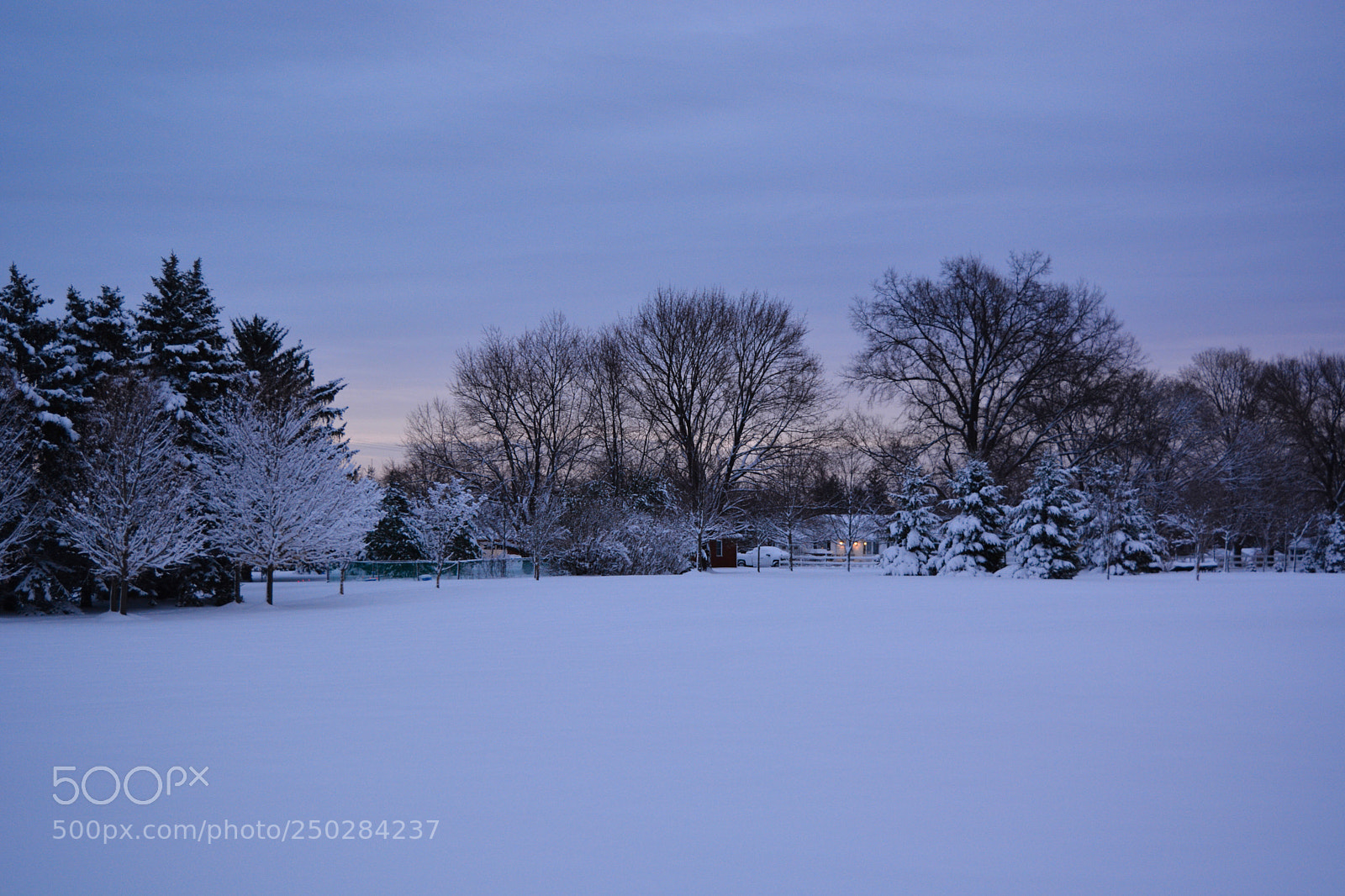 Nikon D7100 sample photo. Untitled photography