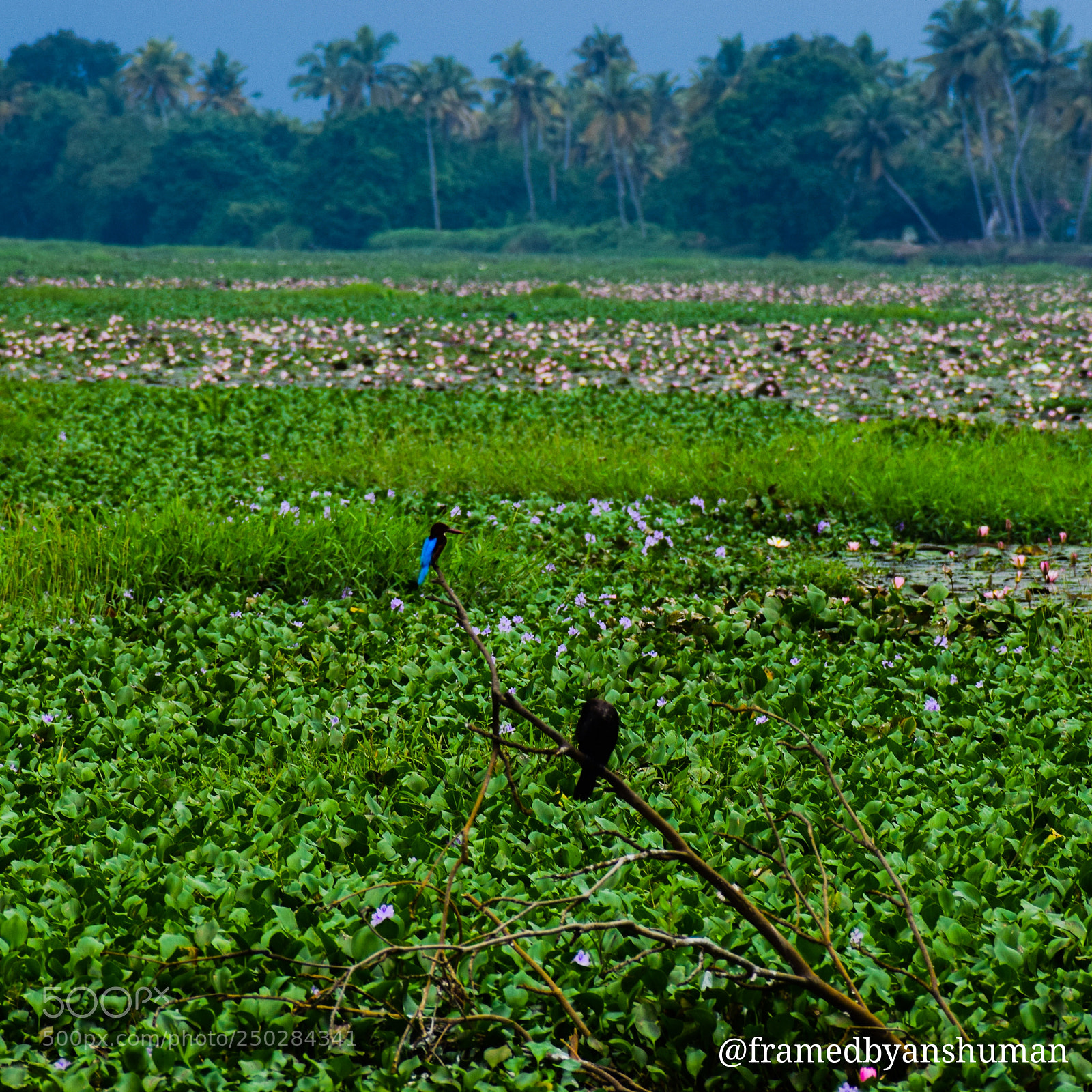 Nikon D5300 sample photo. Lets not differenciate !! photography