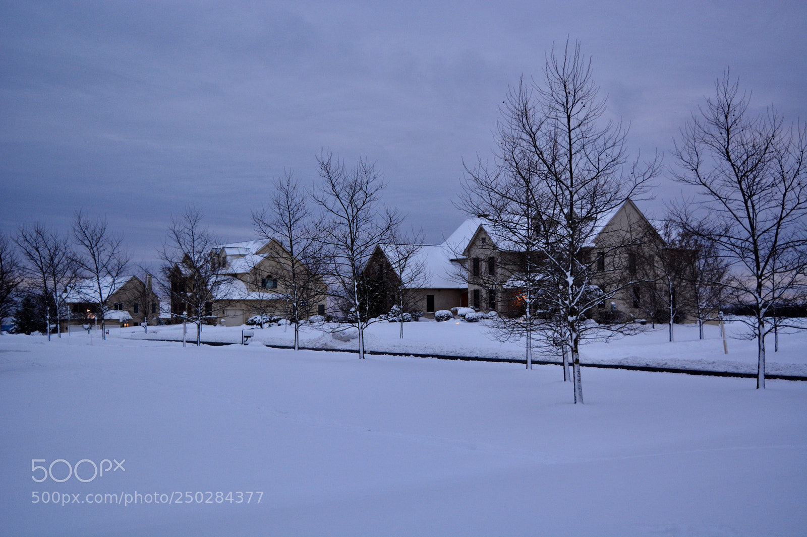 Nikon D7100 sample photo. Untitled photography