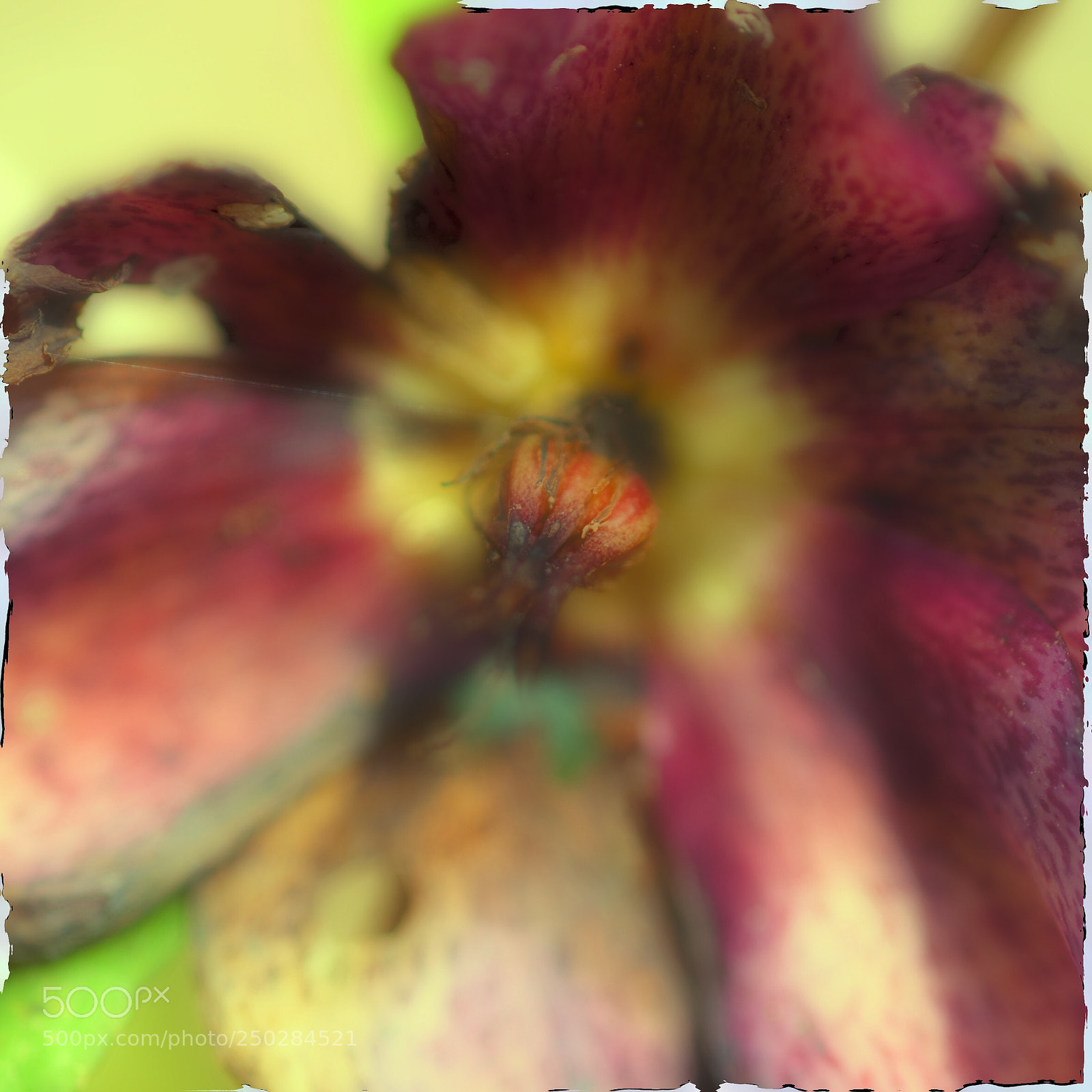 Nikon D300 sample photo. Untitled photography