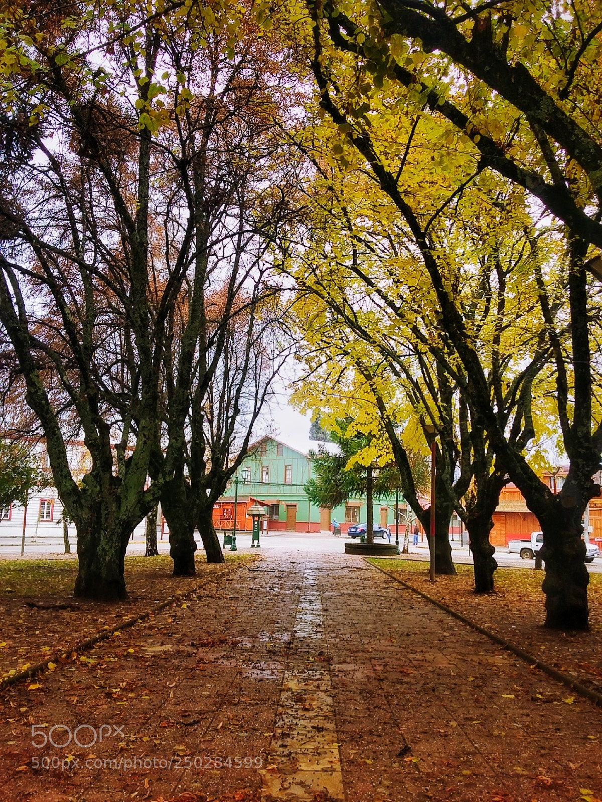 Samsung Galaxy Grand Prime sample photo. Otoño photography