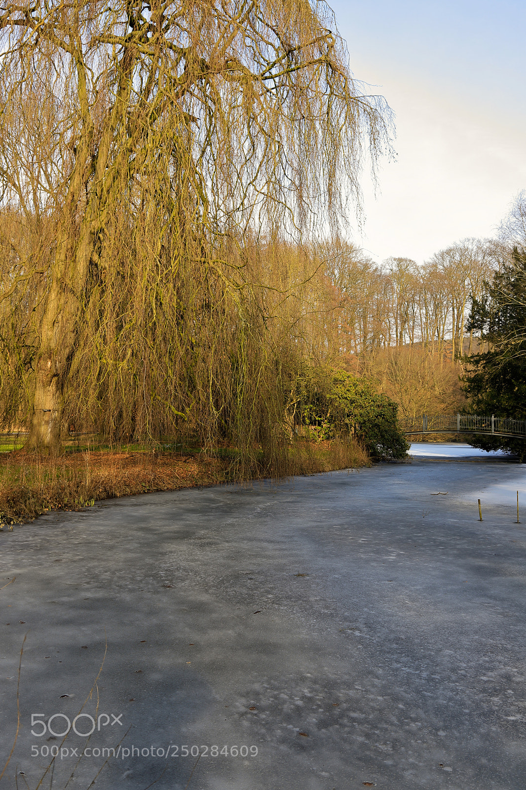 Canon EOS 6D Mark II sample photo. Ice photography