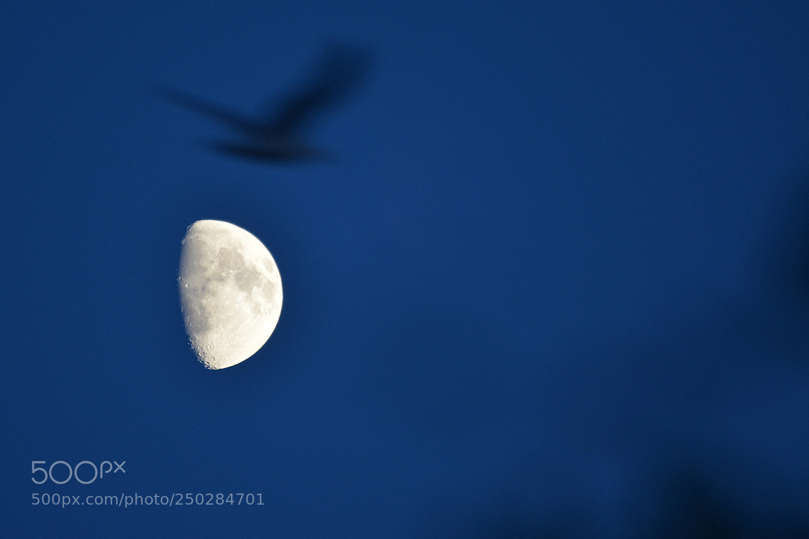 Nikon D5200 sample photo. England, mond mit m photography