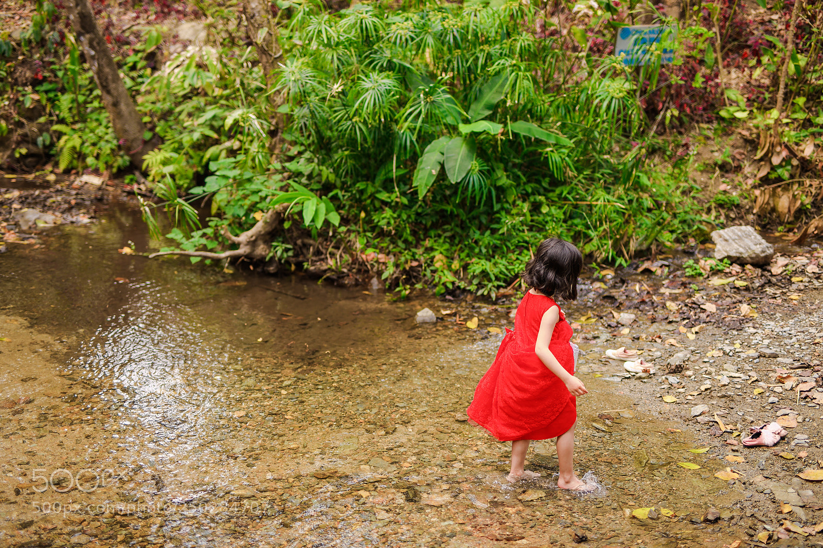 Canon EOS 5D Mark IV sample photo. Untitled photography
