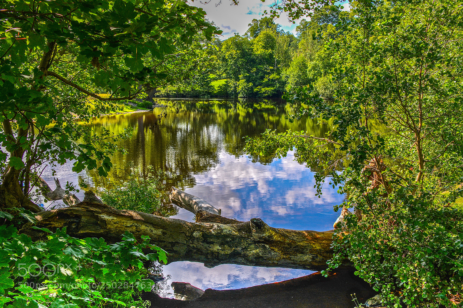 Nikon D7100 sample photo. England photography