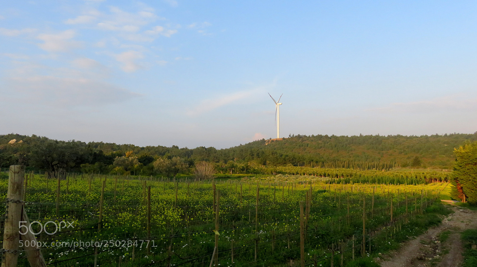 Canon PowerShot SX710 HS sample photo. Img photography