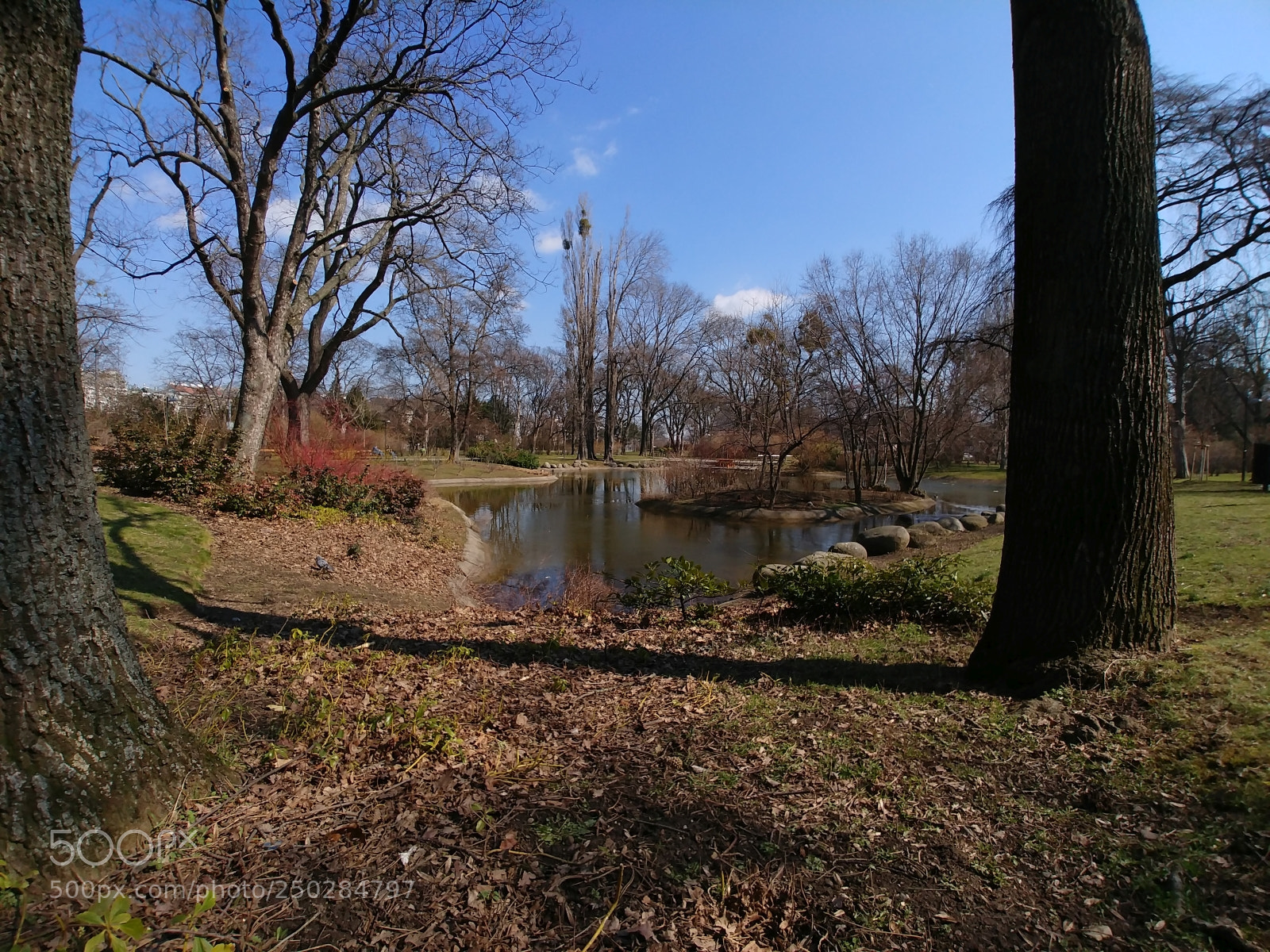 LG G6 sample photo. Schweizergarten vienna photography