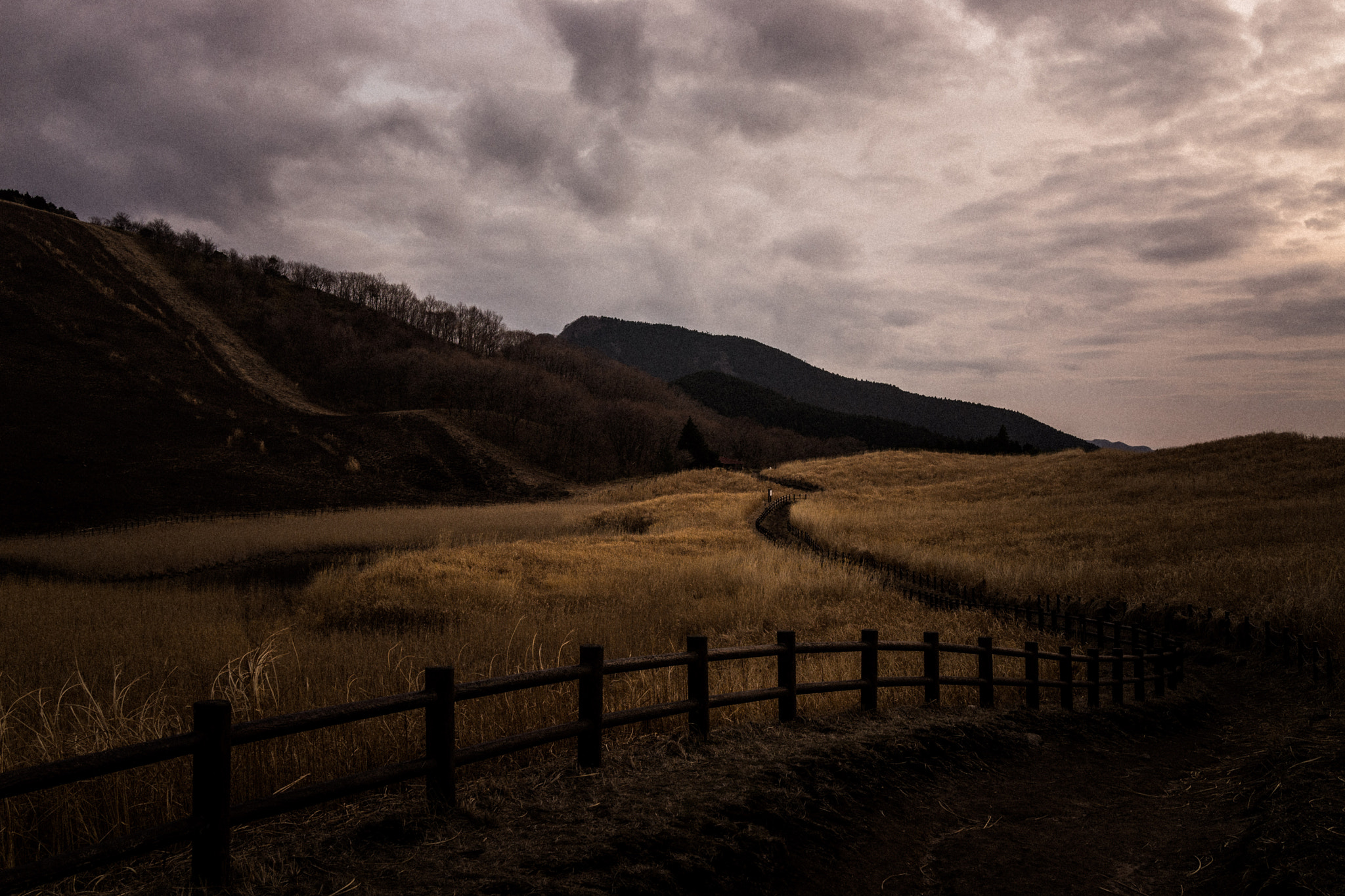 Sony Cyber-shot DSC-RX1R sample photo. Narrow and rough road photography