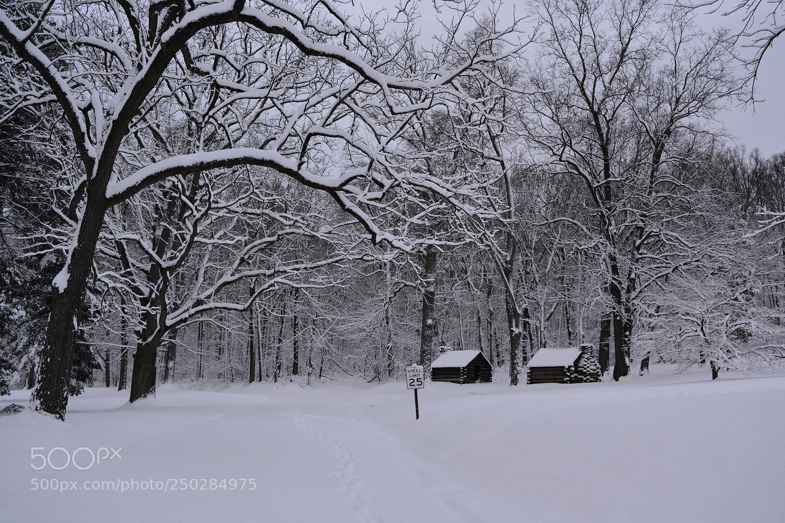 Nikon D7100 sample photo. Untitled photography
