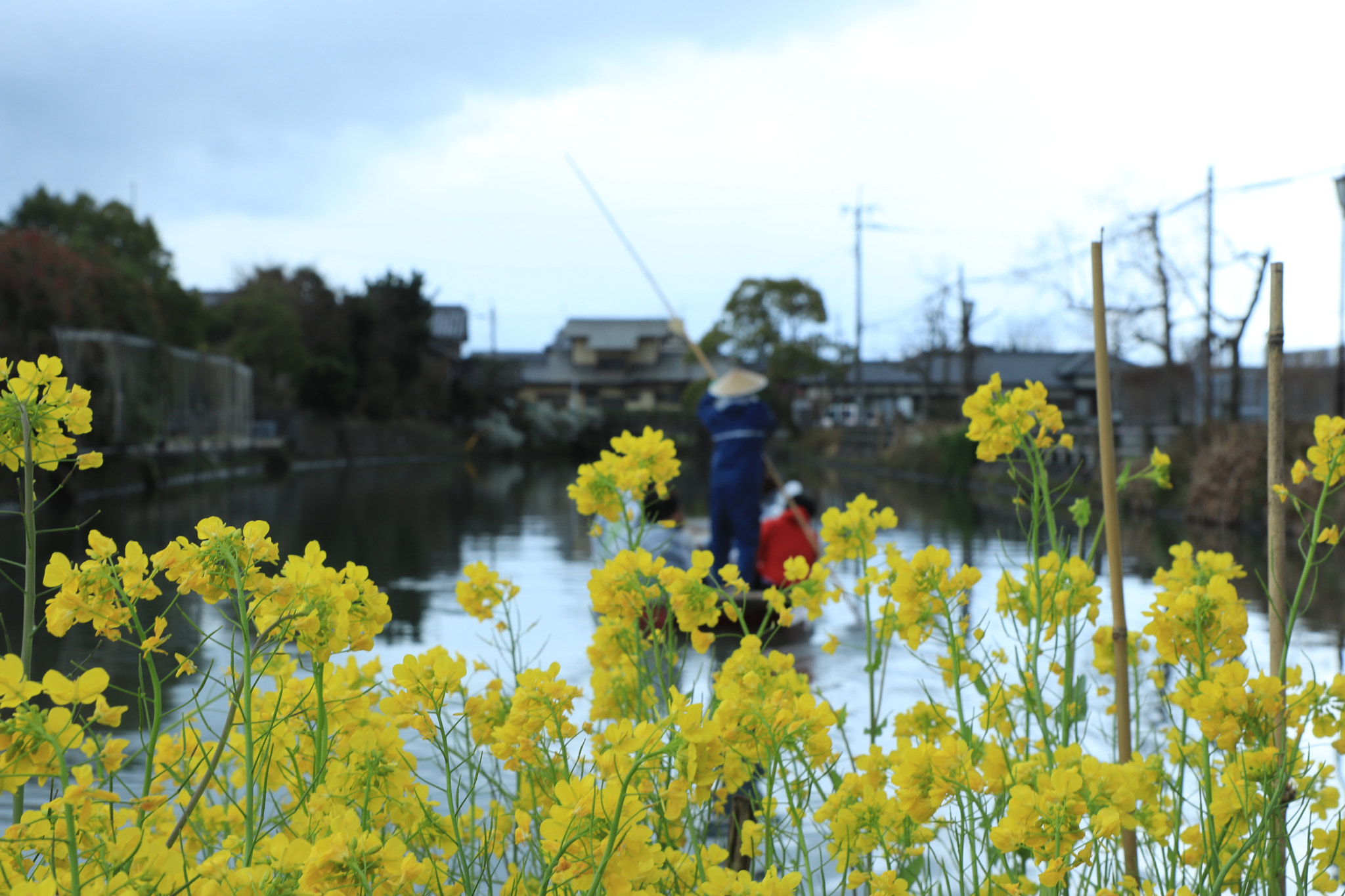 Canon EOS 77D (EOS 9000D / EOS 770D) + Canon EF-S 17-55mm F2.8 IS USM sample photo. Flowers and the sailor photography