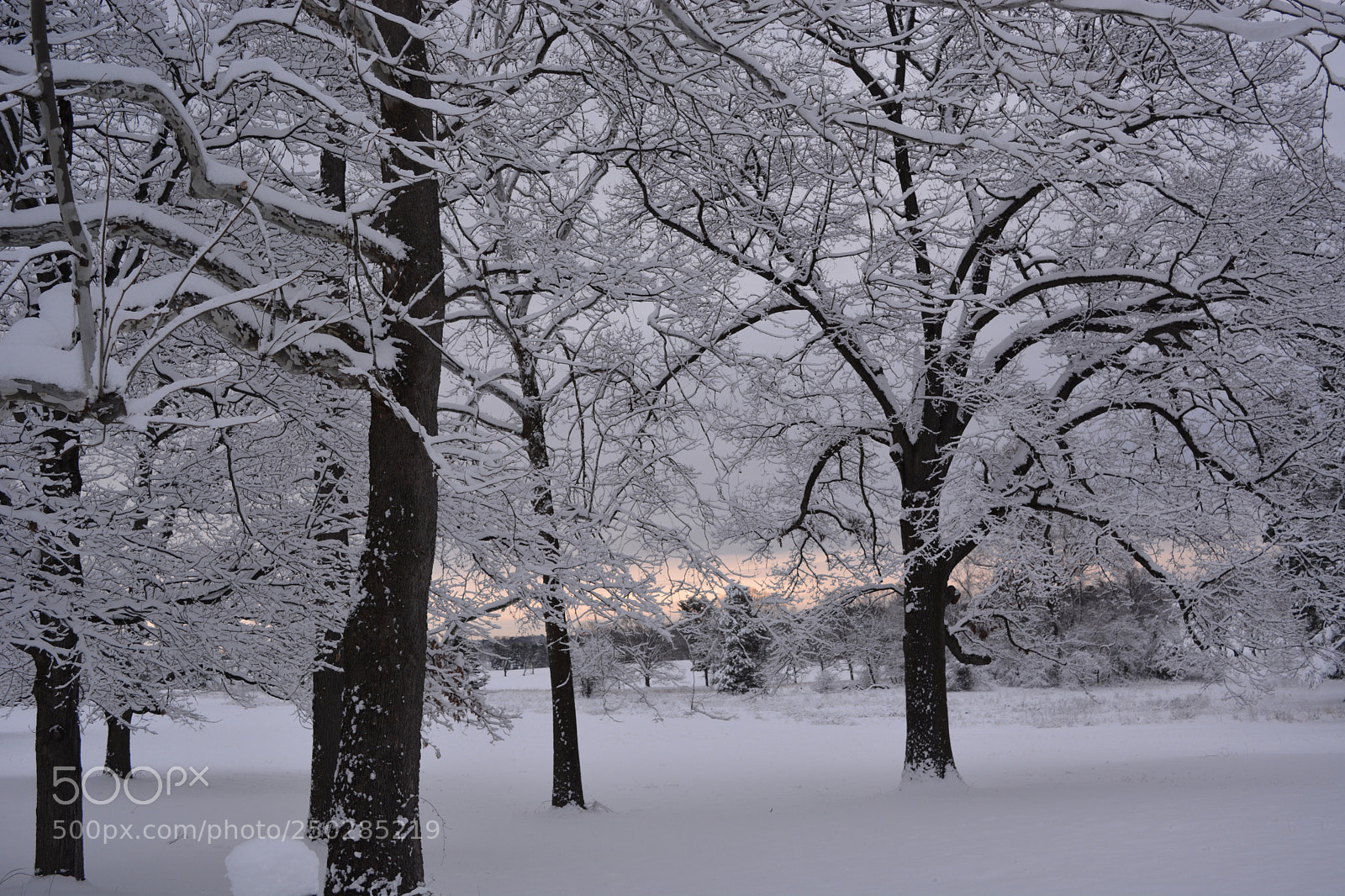 Nikon D7100 sample photo. Untitled photography