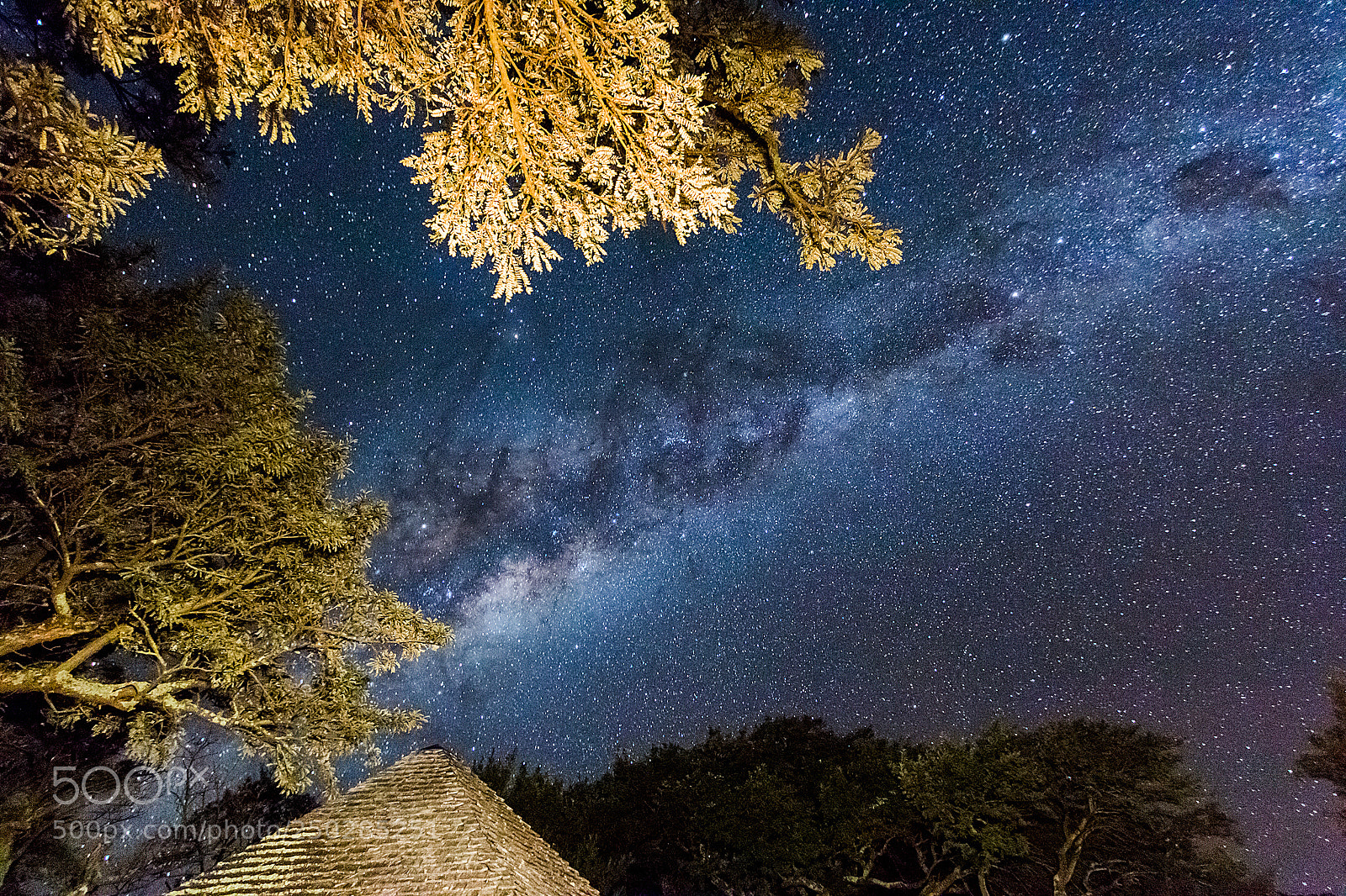 Canon EOS 70D sample photo. Sky of full stars photography