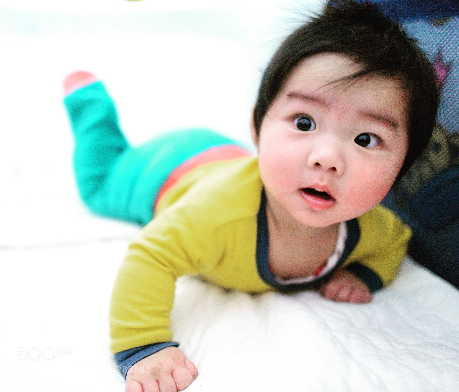 Nikon D800 sample photo. Untitled photography