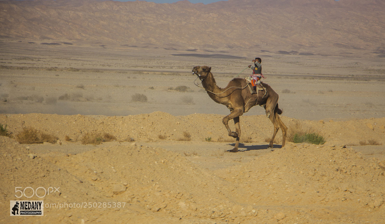 Canon EOS 700D (EOS Rebel T5i / EOS Kiss X7i) sample photo. Img photography
