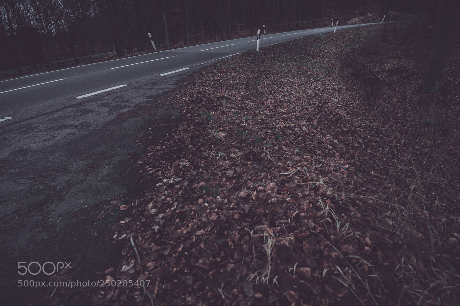 Sony a7 sample photo. Dark street view in photography