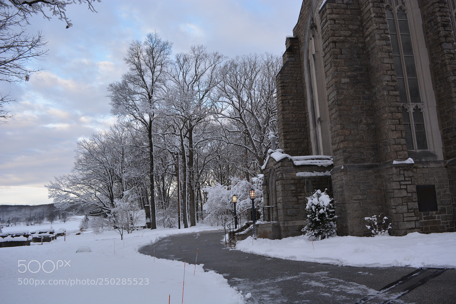 Nikon D7100 sample photo. Untitled photography