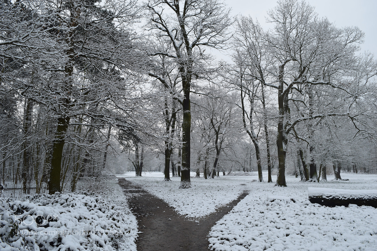 Nikon D3300 sample photo. Snow ways of life photography