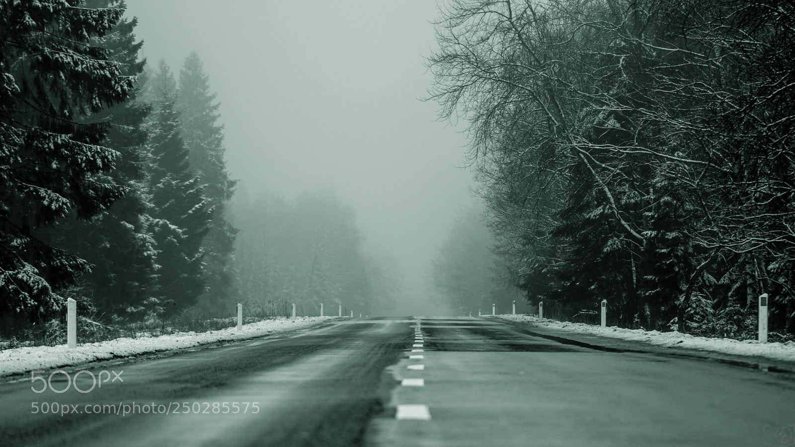Canon EOS 70D sample photo. La route tristesse photography