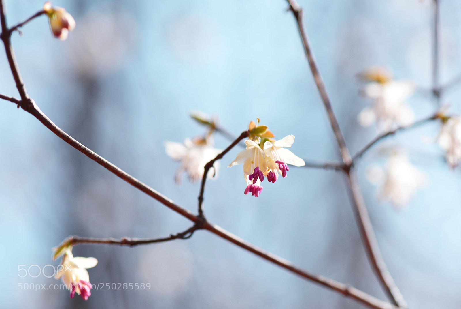 Nikon D810 sample photo. Untitled photography